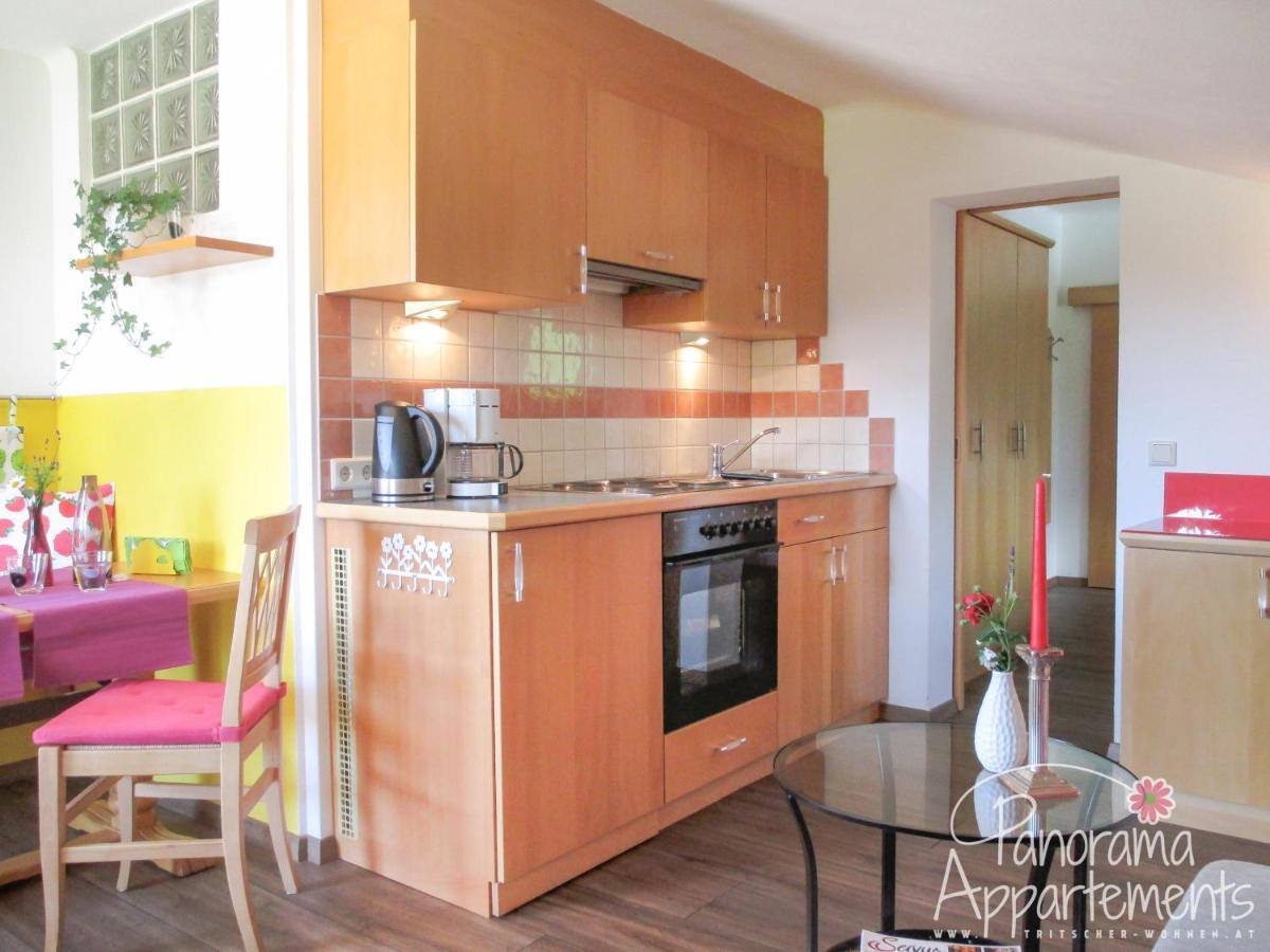 Panorama Appartement Ramsau am Dachstein Dış mekan fotoğraf