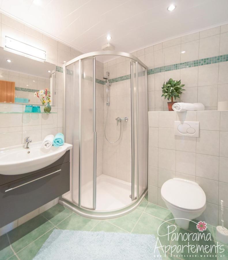 Panorama Appartement Ramsau am Dachstein Dış mekan fotoğraf