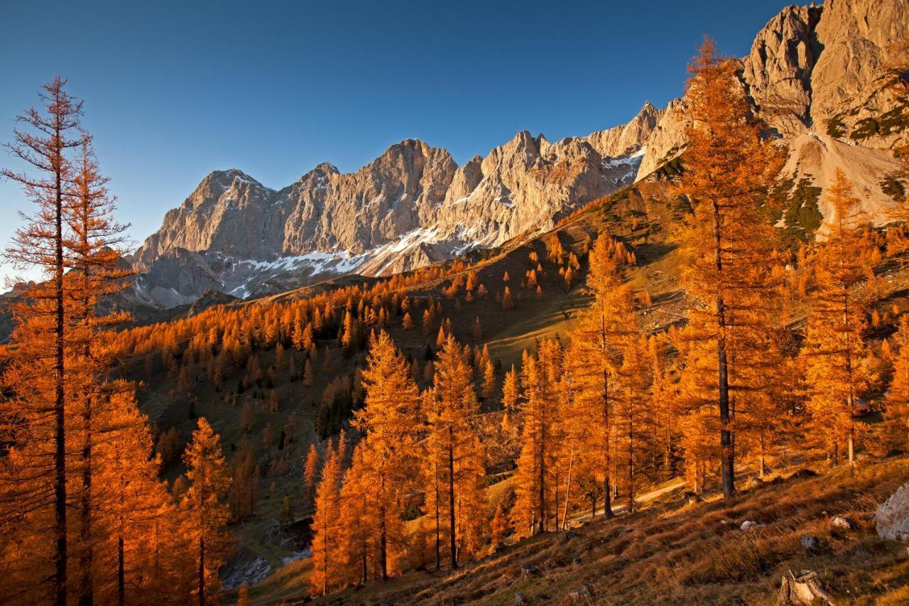 Panorama Appartement Ramsau am Dachstein Dış mekan fotoğraf