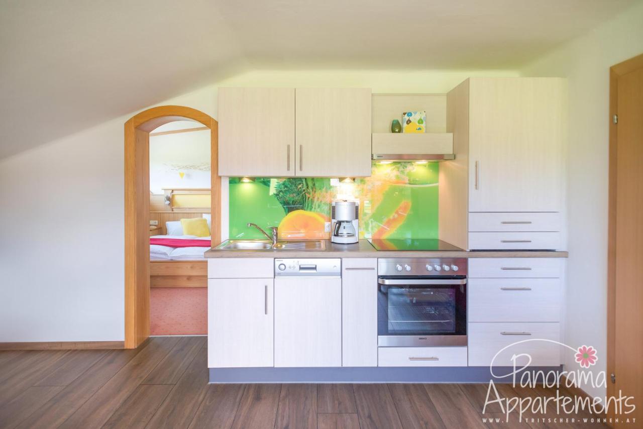 Panorama Appartement Ramsau am Dachstein Dış mekan fotoğraf