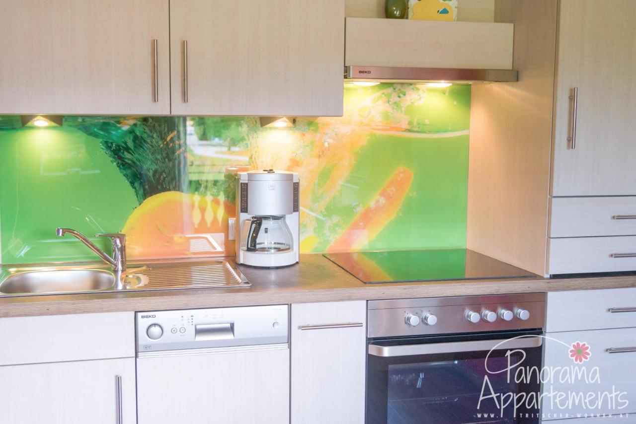 Panorama Appartement Ramsau am Dachstein Dış mekan fotoğraf