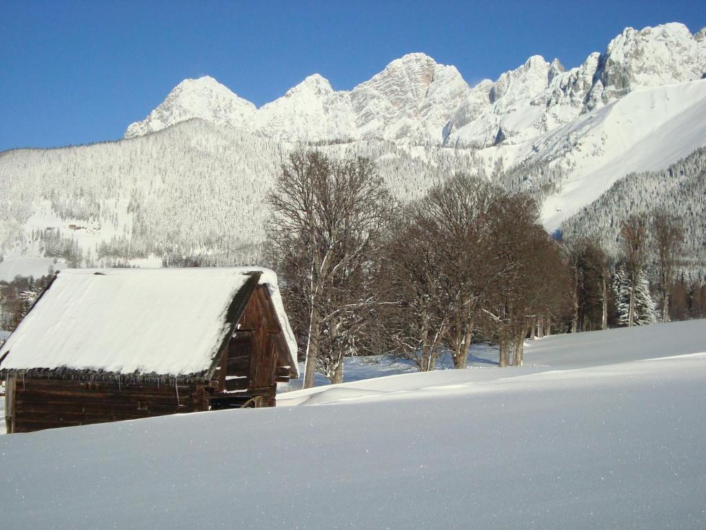 Panorama Appartement Ramsau am Dachstein Oda fotoğraf